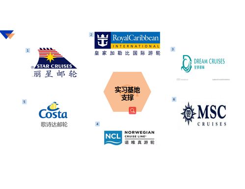 探索涉外職業(yè)教育新路徑》，旅游外語(yǔ)學(xué)院躋身河南省“郵輪登務(wù)才能等級(jí)培訓(xùn)認(rèn)證新方